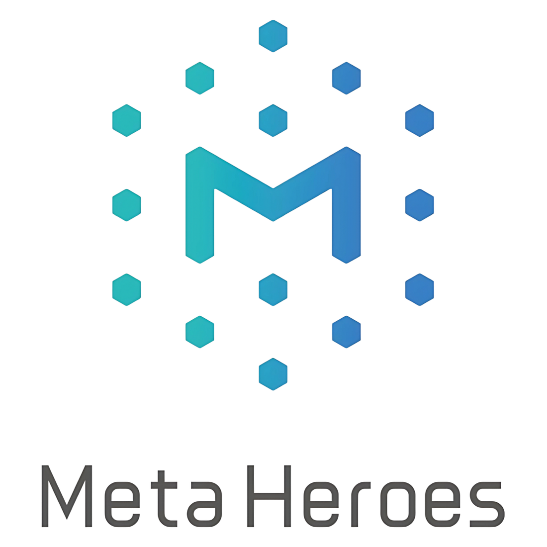 株式会社MetaHeroes
